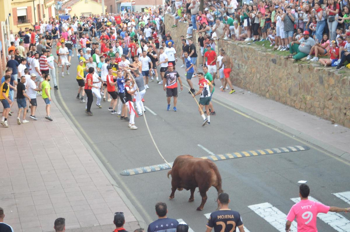 Le Torito sur la rue Los Cárros.