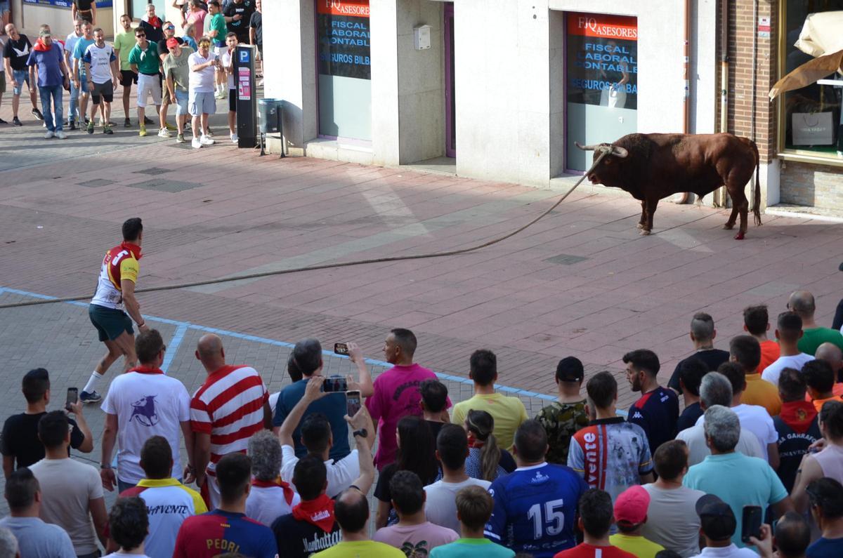 Splendide se faire mendiant, sur la Plaza de la Madera