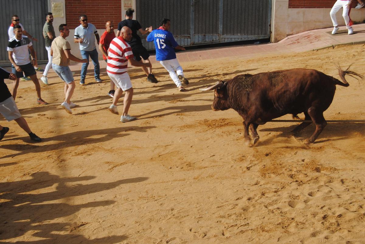Sortie du splendide torito.