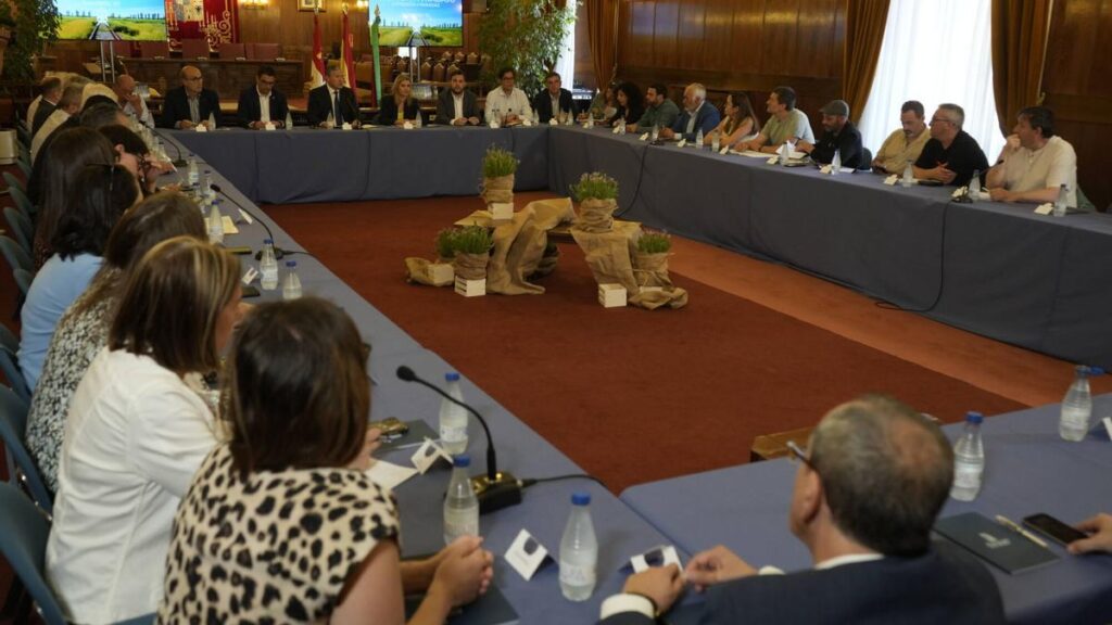Reunión sobre las paradas del AVE en la Diputación, el 4 de junio.