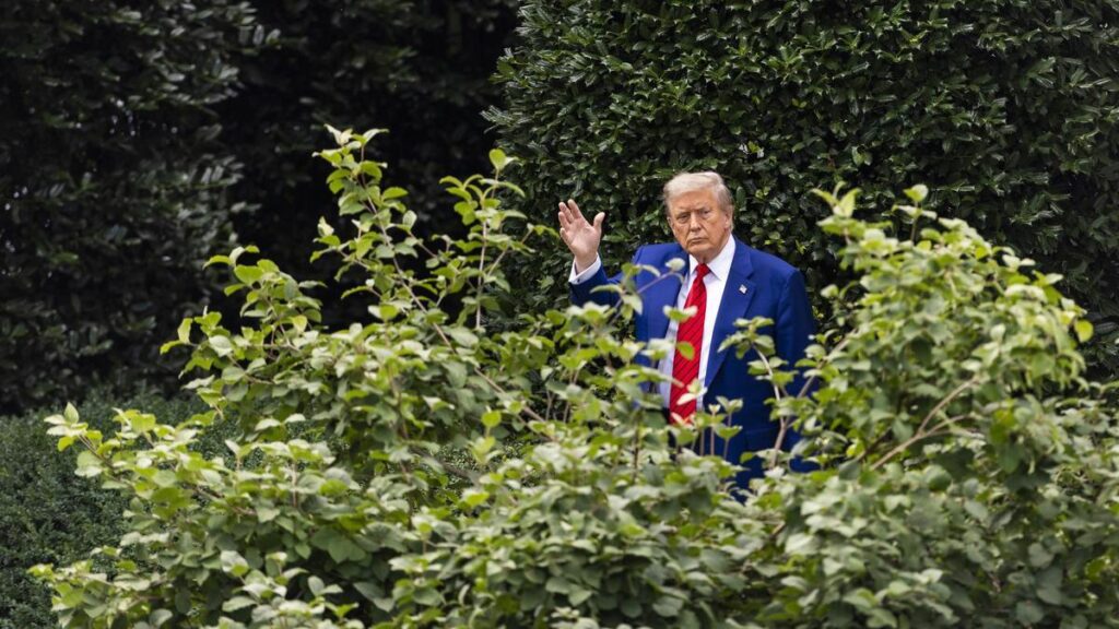 El presidente de EEUU, Donald Trump.