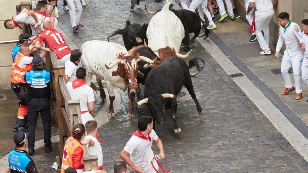 Vivre | Le bétail de Álvaro Núñez est présenté dans les Sanfermines