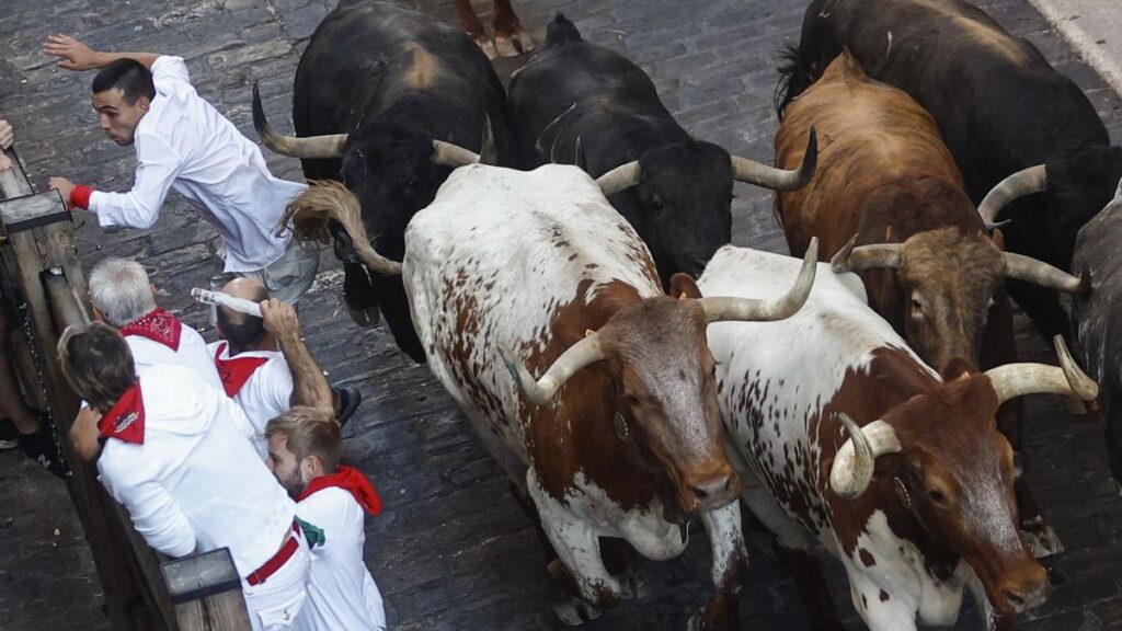 Vivre | La vitesse du Palmosilla, à l'examen du septième confinement des Sanfermines