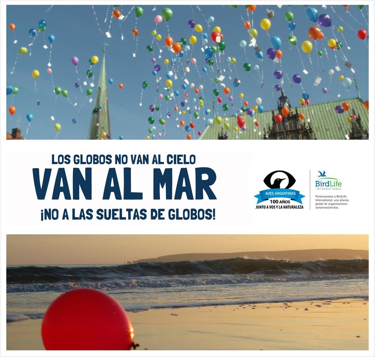 Affiche informative sur les dégâts causés par les ballons