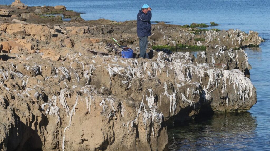 Tramo de costa de Ibiza repleto de toallitas salidas de un vertido accidental de depuradora