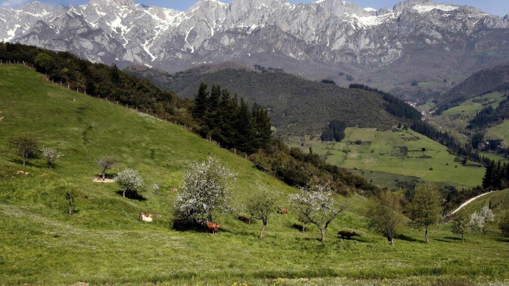 Picos de Europa.