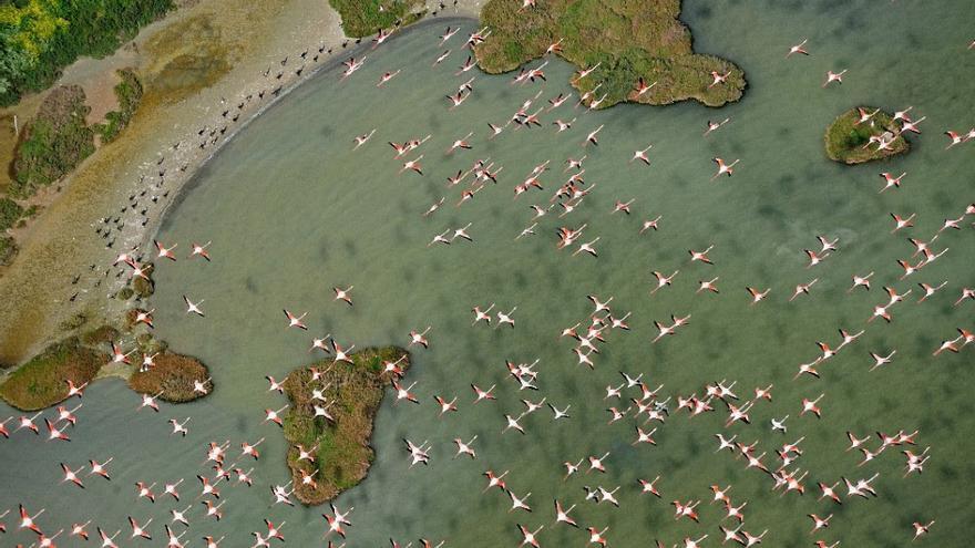 Unesco quiere que España tome medidas para que el acuífero de Doñana no entre en la Lista del Patrimonio en Peligro.