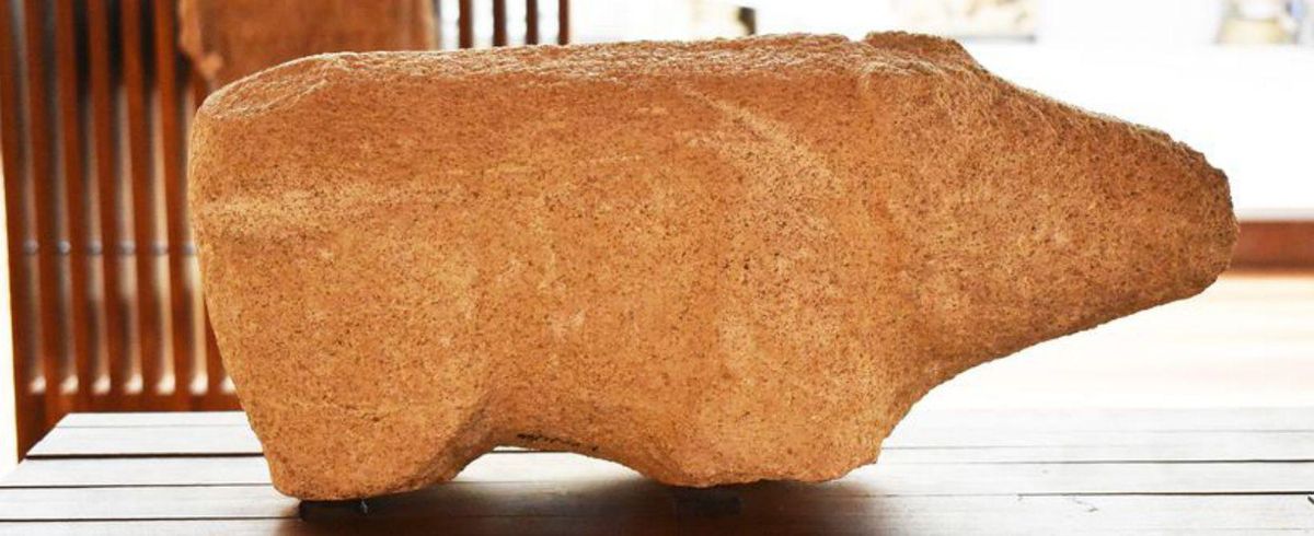 "El Alba" (Villalazán): La ville romaine qui a émergé à côté du duero