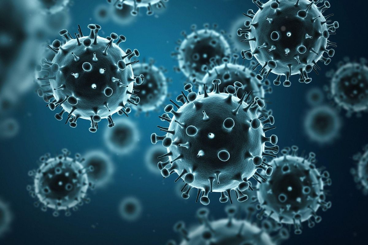 Virus de la grippe