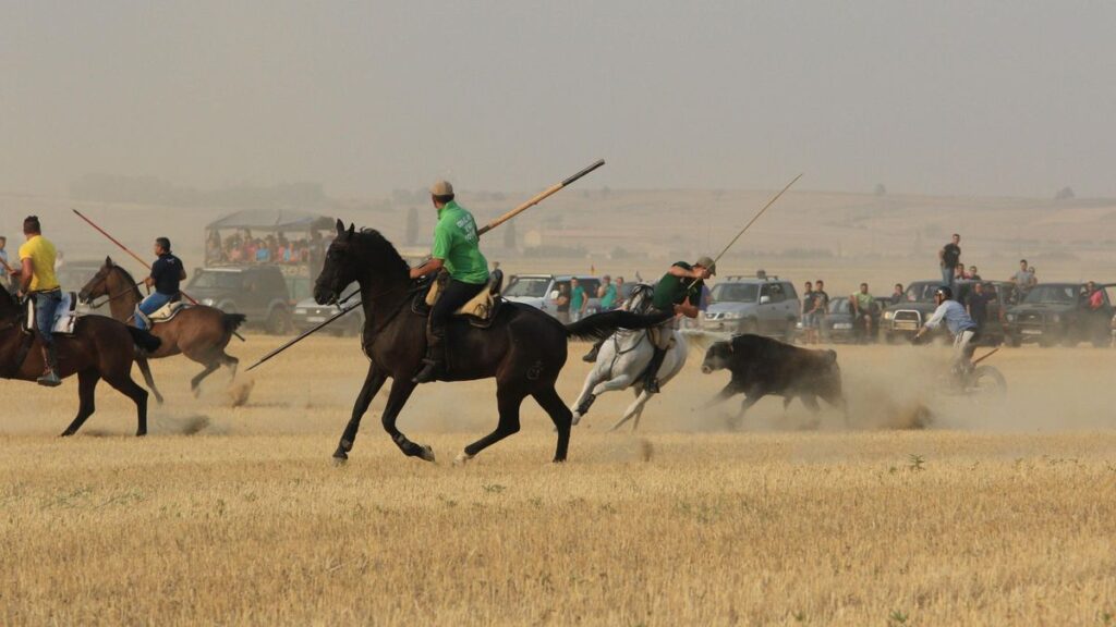 Aficionados disfrutan de un encierro campero en Villalpando durante una edición festiva anterior.