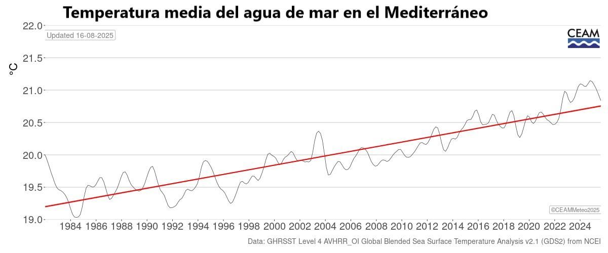 Évolution de la température de surface de la mer en Méditerranée