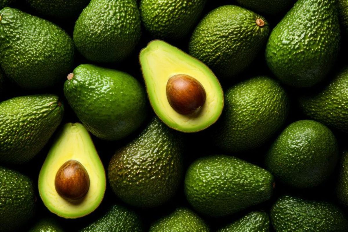 Archive - avocats.