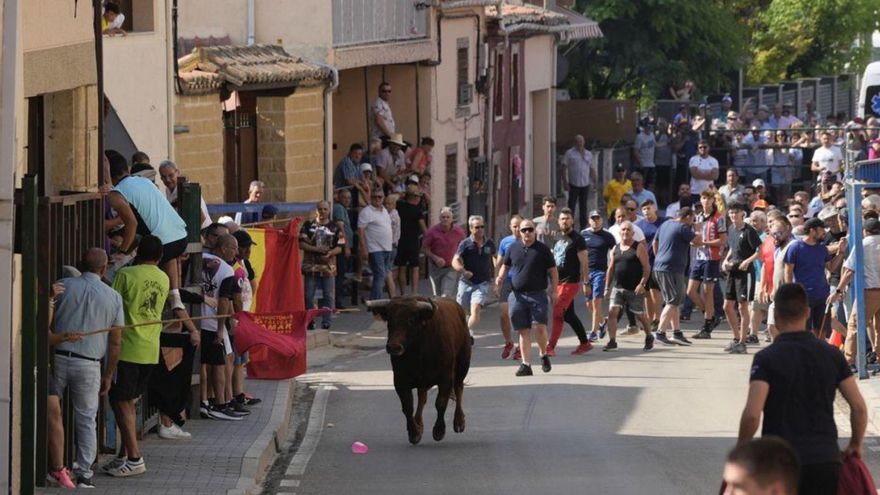 Encierro urbano de  La Bóveda de Toro.