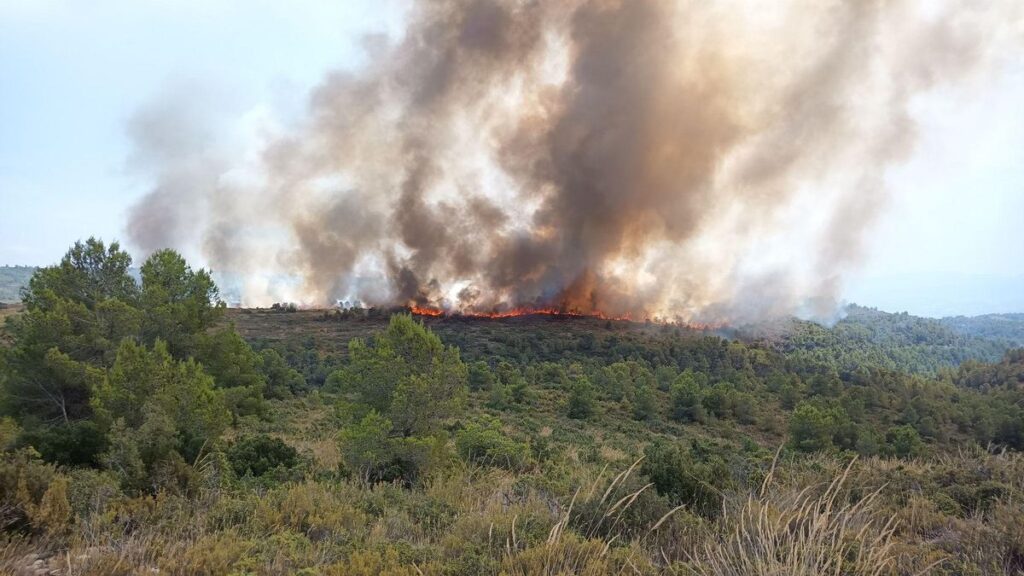 El incendio forestal de Teresa de Cofrentes provoca una densa columna de humo visible a varios kilómetros de distancia