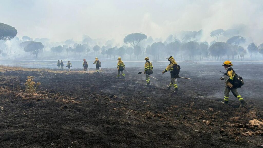 Incendio en Ávila: activado el Índice de Gravedad 1 en San Bartolomé de Pinares