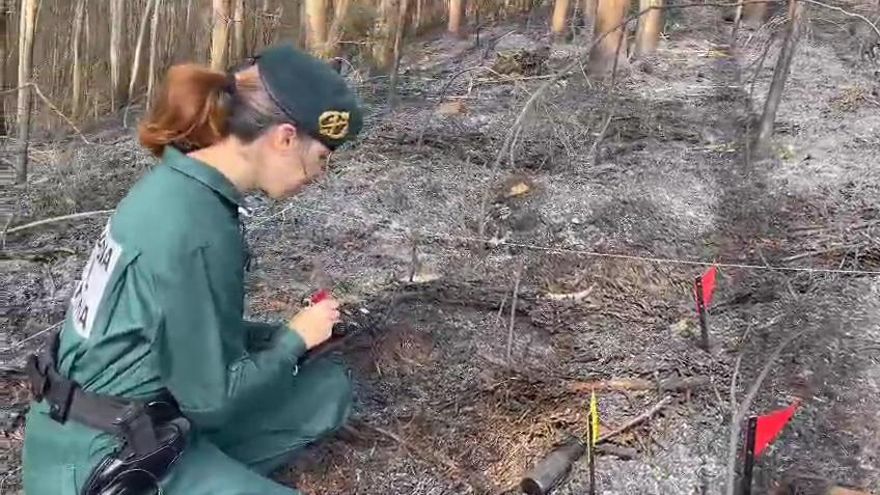 La Guardia Civil investiga a una mujer por cinco incendios forestales en Muxía