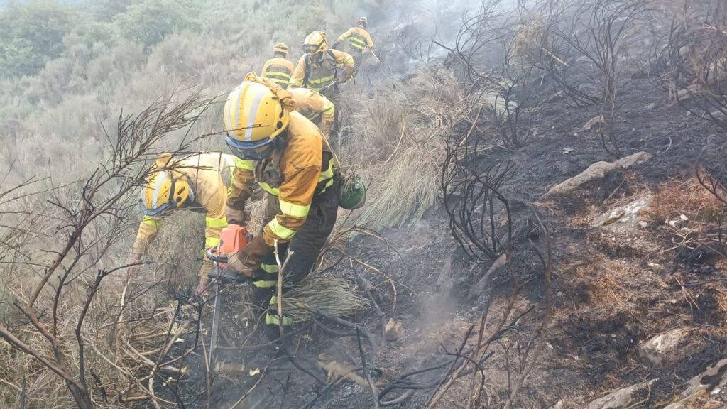 Dos bomberos trabajan en el monte en Sanabria