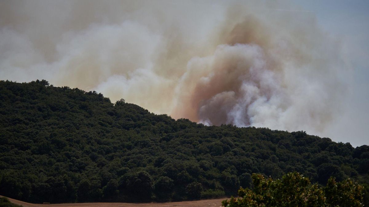 Imagen del incendio declarado en Navarra