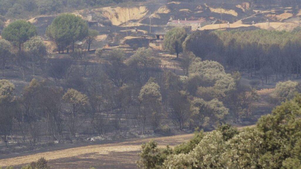 Paisaje del valle de Vidriales calcinado por el incendio iniciado en Molezuelas.