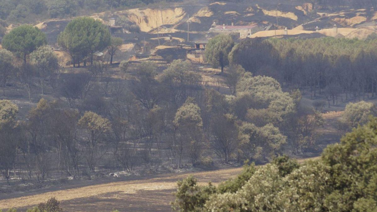 Paisaje del valle de Vidriales calcinado por el incendio iniciado en Molezuelas.