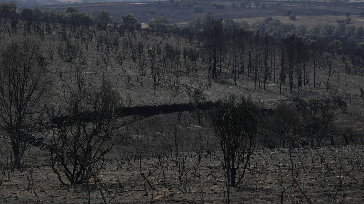 Un paraje de la Sierra de la Culebra, calcinado por el incendio de Puercas.