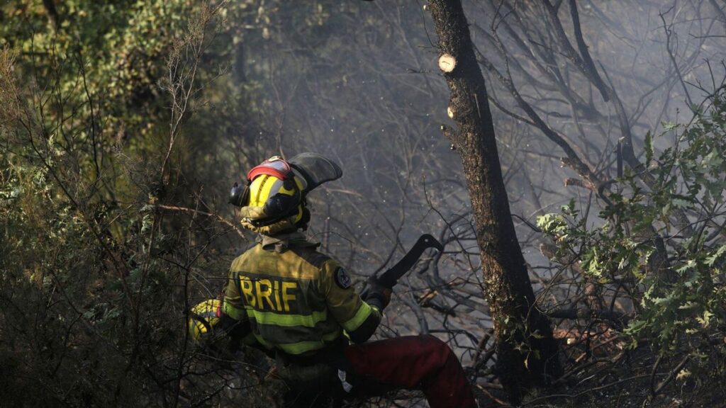 Varios bomberos forestales tratan de extinguir el fuego, a 19 de agosto de 2025, en Palacios de Compludo, en León.