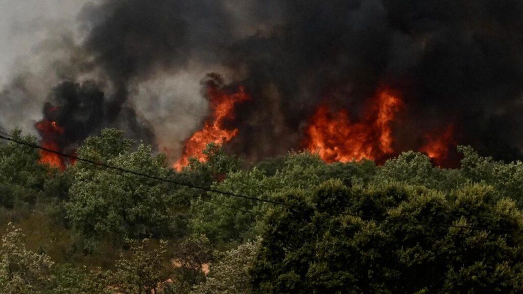 Incendio en Molezuelas de la Carballeda