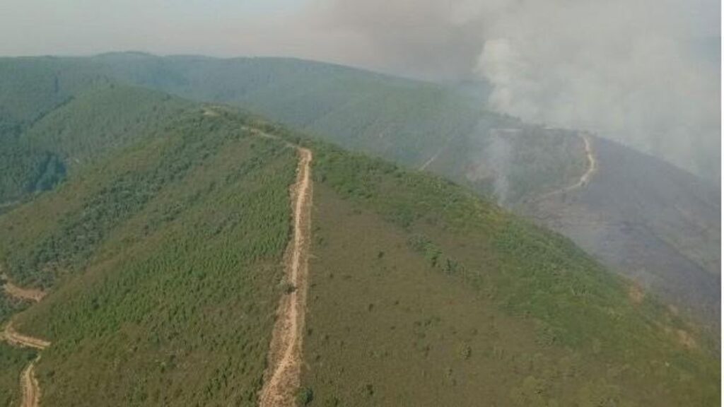 Incendio de Paradiña (León)