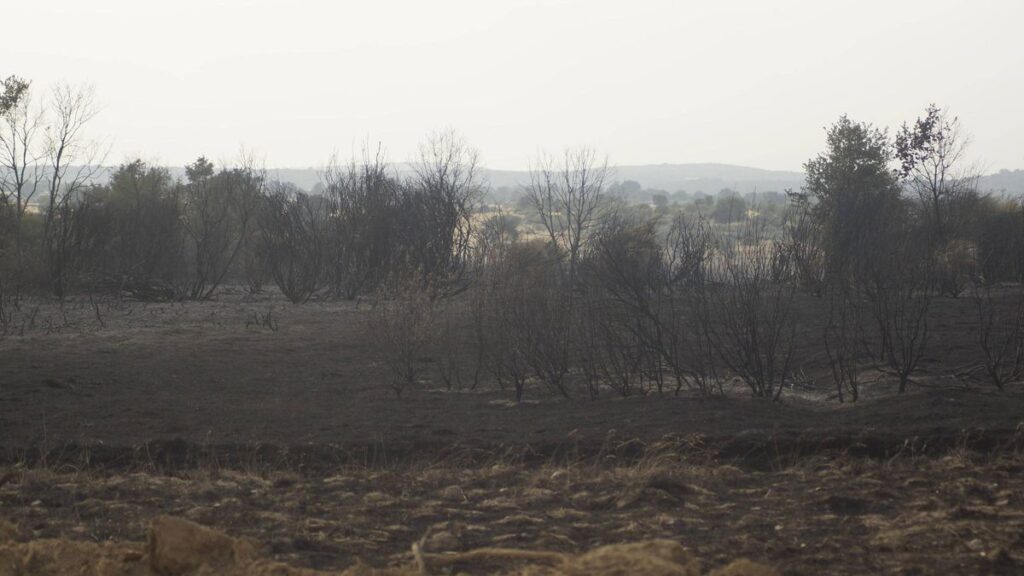 Incendio en Mahíde