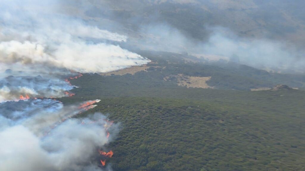 Incendio en Porto