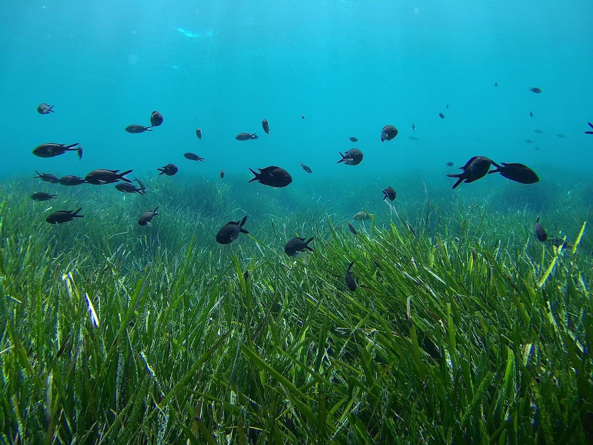 La mer doublera ses impacts en seulement 25 ans, selon l'étude