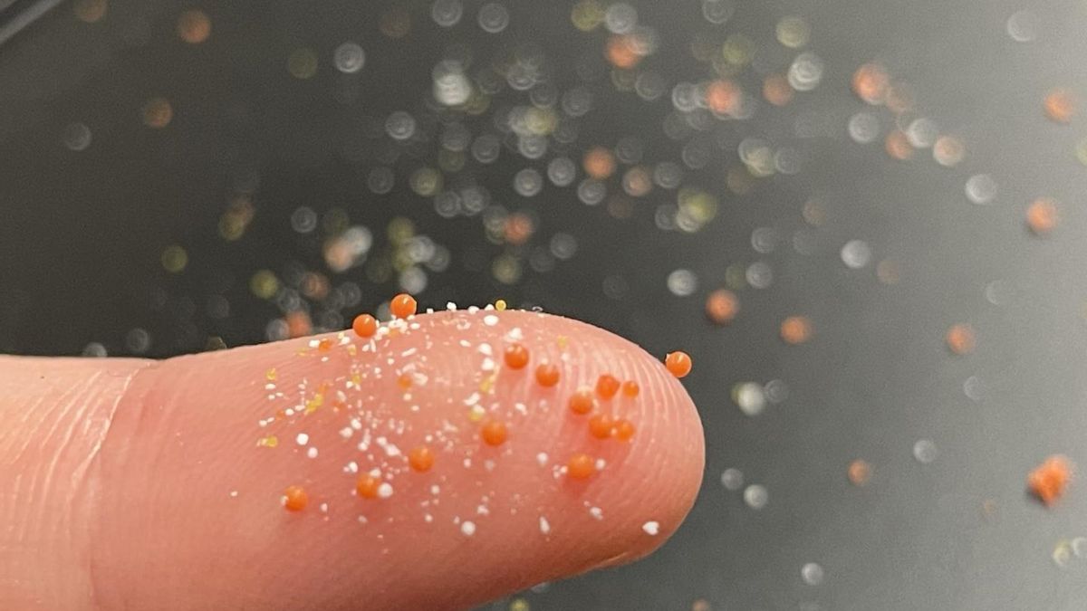 Los nanoplásticos son aún más pequeños que los microplásticos (en la imagen)