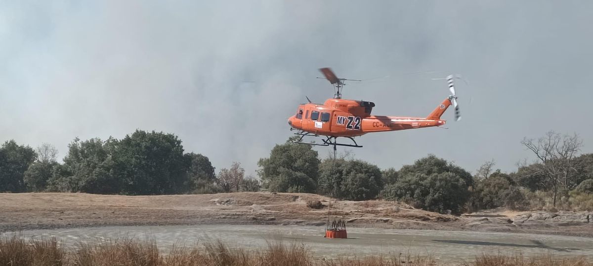 Fire de forêt à Abelón de Sayago