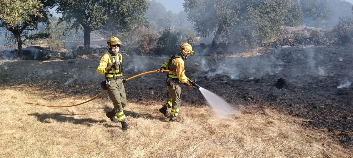 Travailleurs forestiers pendant l'extinction de l'incendie à Abelon