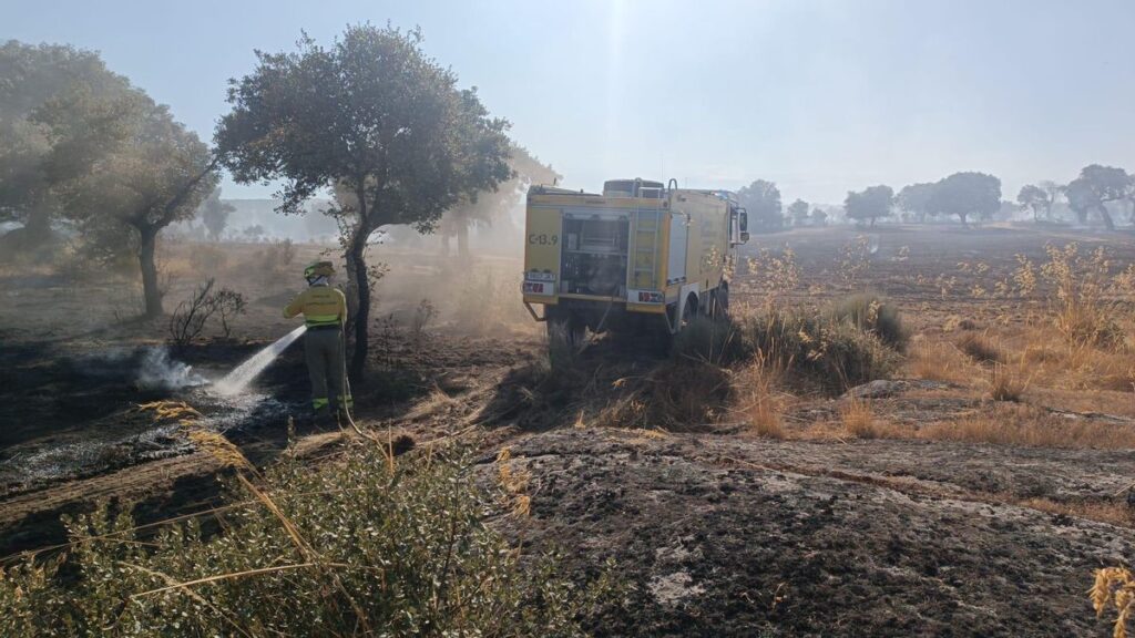 Medios trabajan en el incendio de Abelón de Sayago