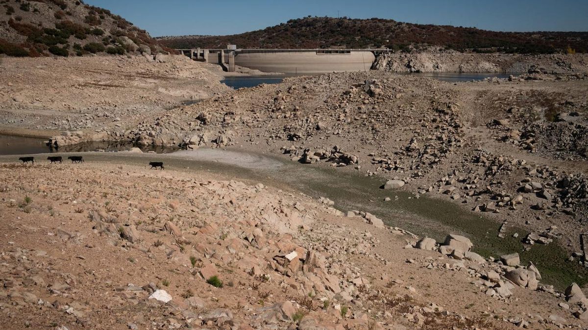 Las pérdidas por sequías, inundaciones y otros desastres climáticos pasan factura