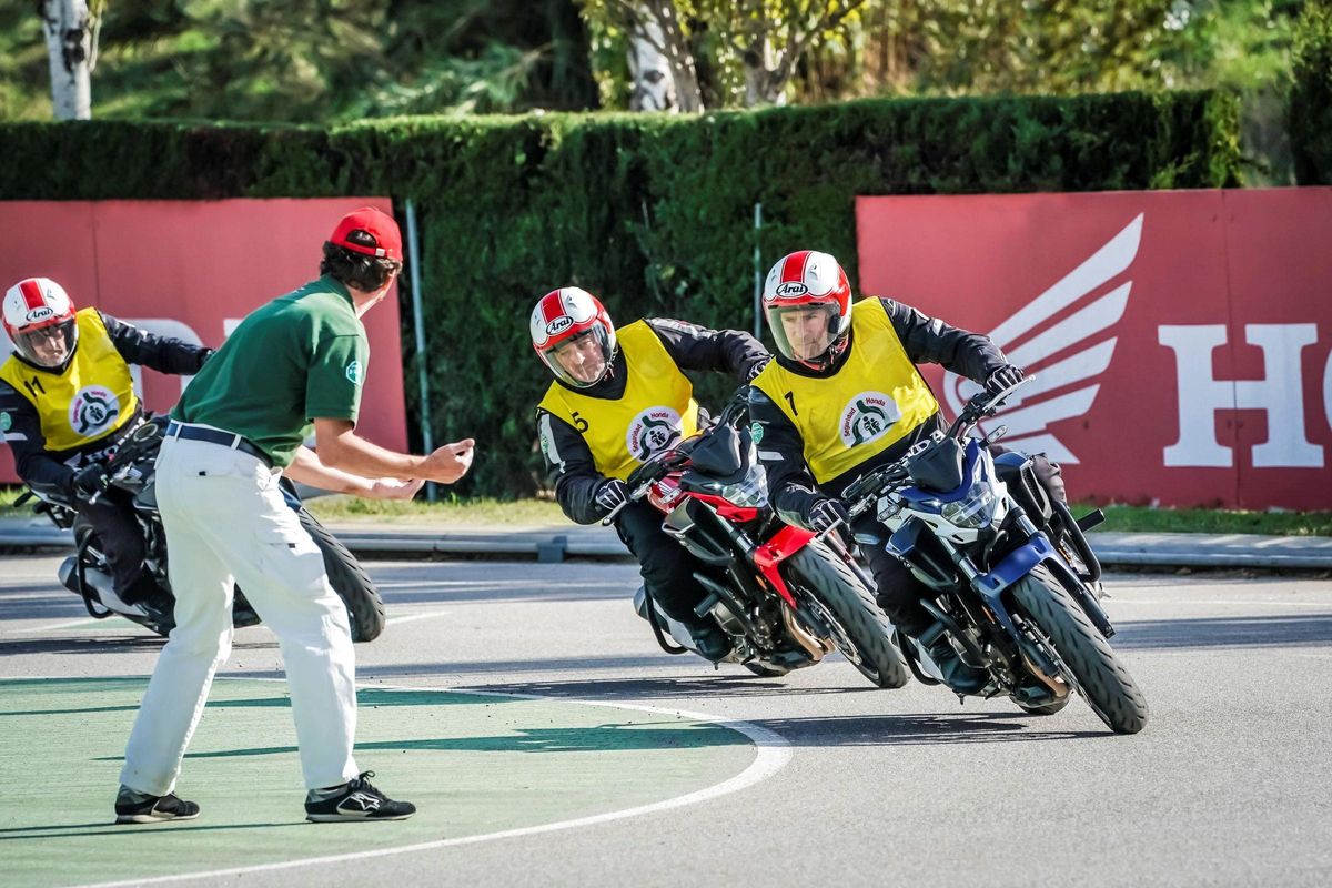 71% SONT DISSOSE À EFETUER DES COURS POST-CARNET, Mais Seulement 27% Connaissance L'Offre Exisante