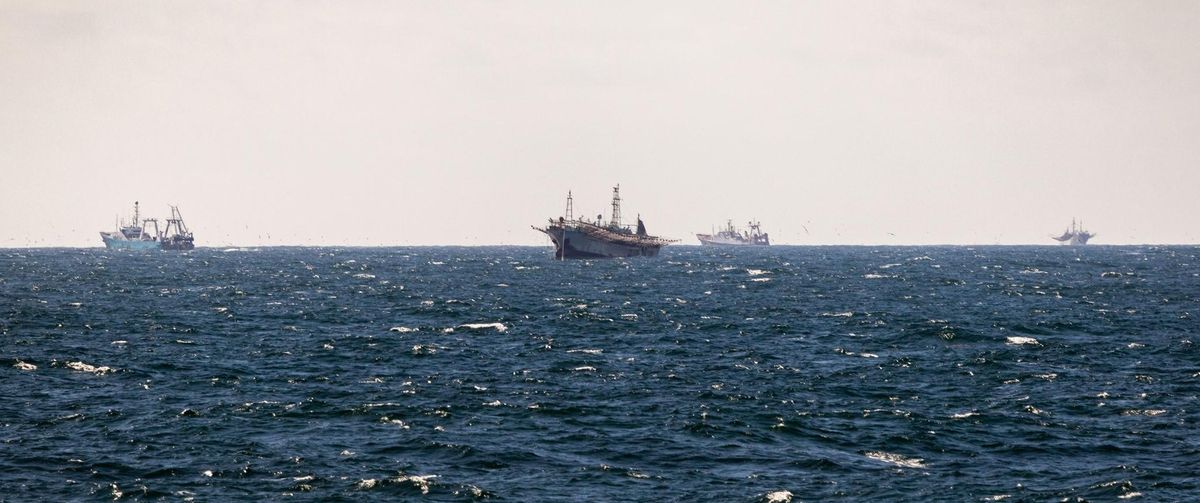 Traîne et poters en dehors du zee argentin dans la zone du mile 201