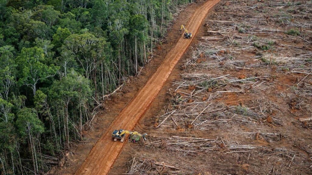 Deforestación en la Amazonía brasileña