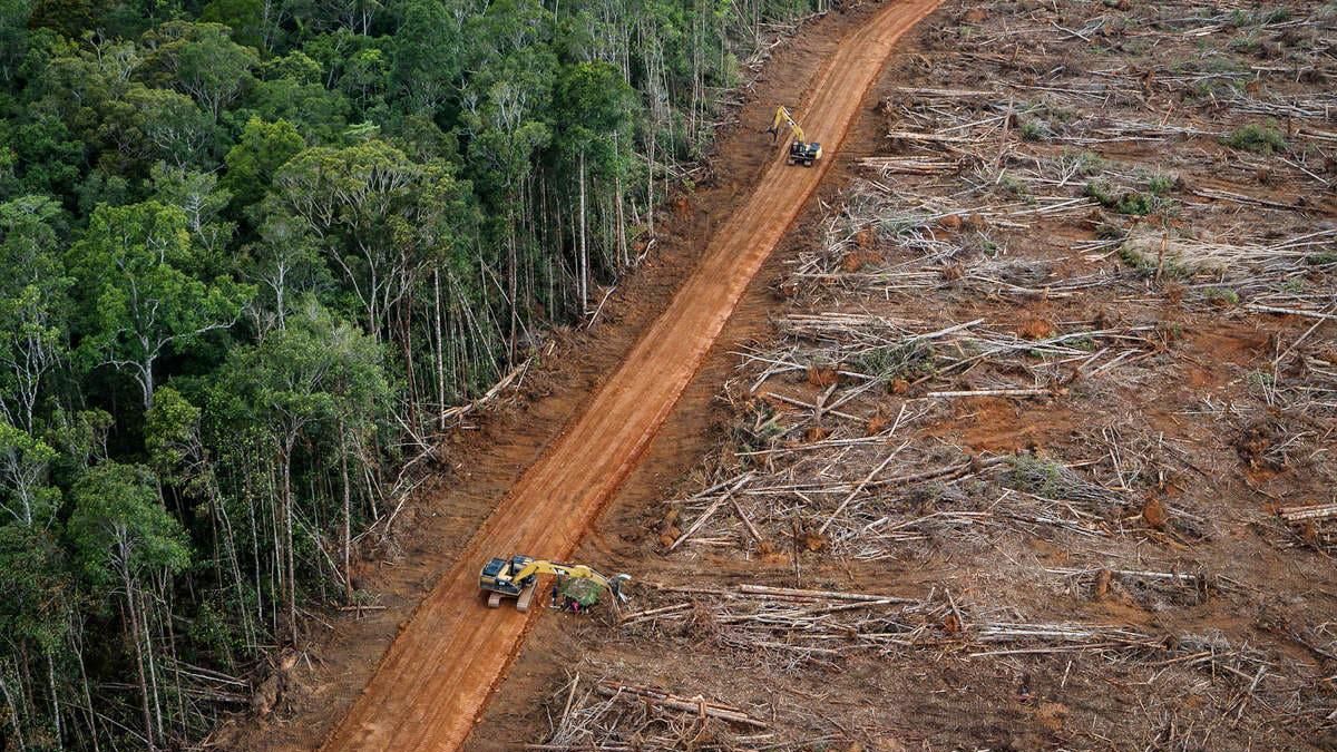 Deforestación en la Amazonía brasileña