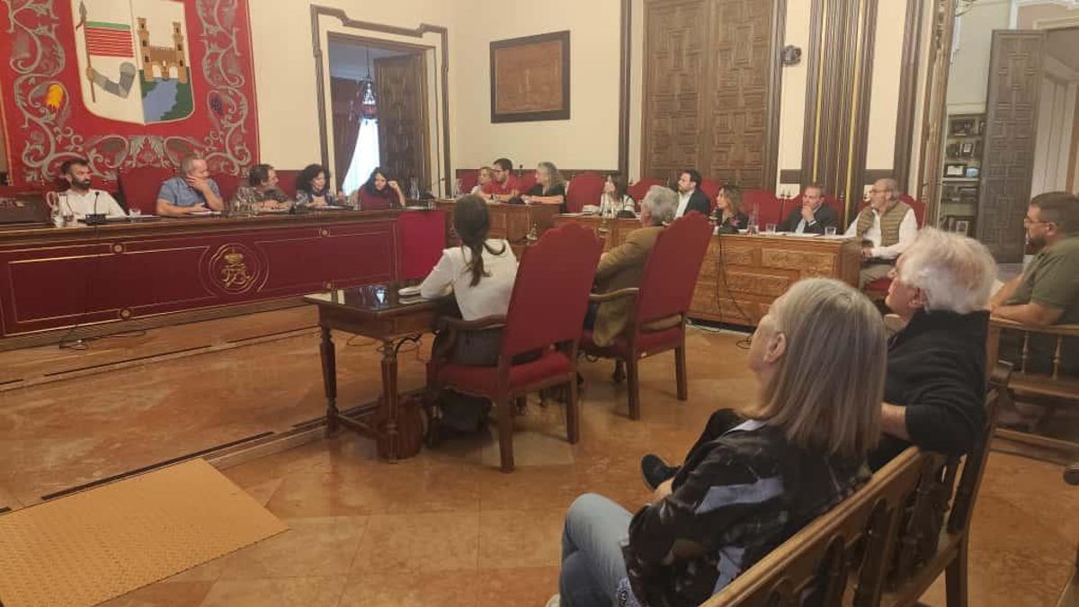 Integrantes de la Asociación de Amigos de Baltasar Lobo en el pleno de este martes.