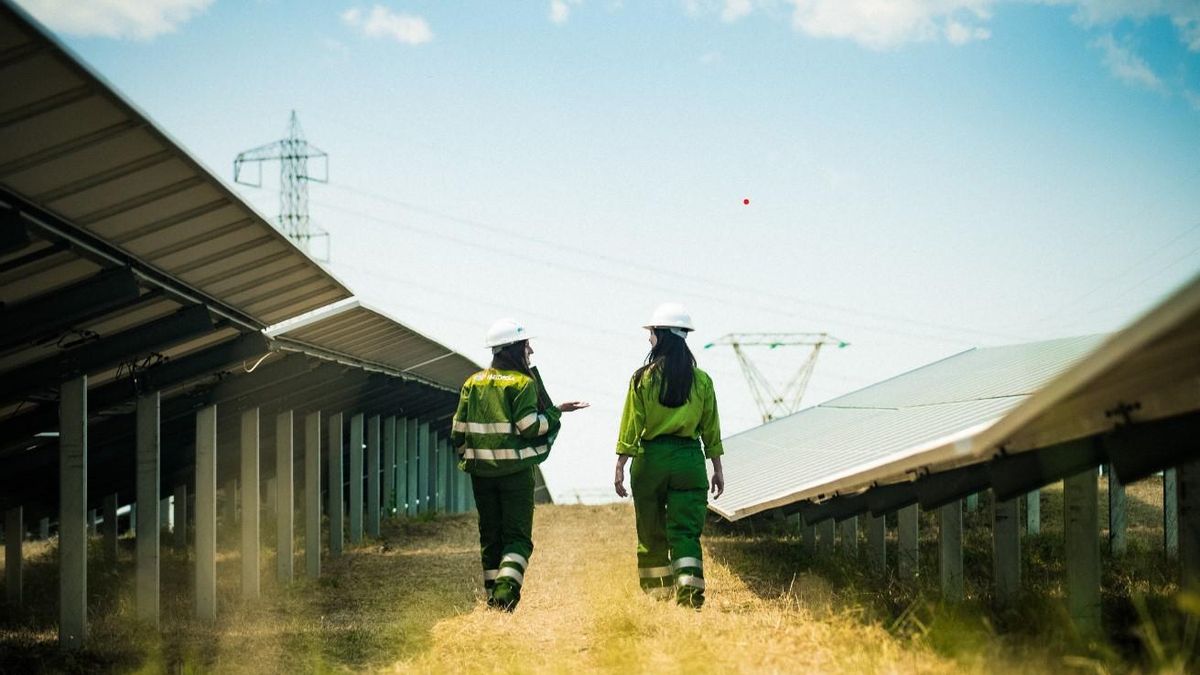Una planta fotovoltaica de Iberdrola.