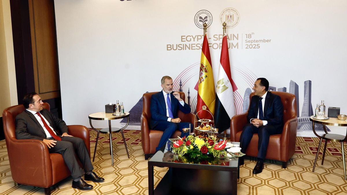 El Rey Felipe VI en el foro empresarial España-Egipto durante su visita de Estado