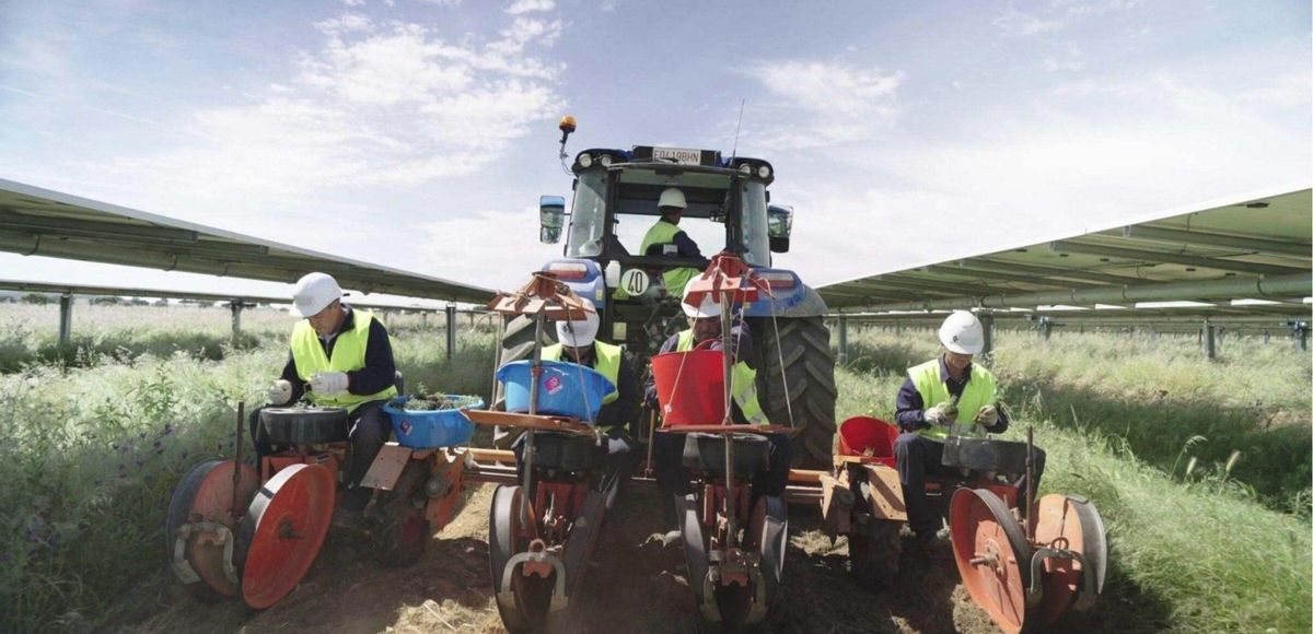 Plantes solaires sur des terres agraires