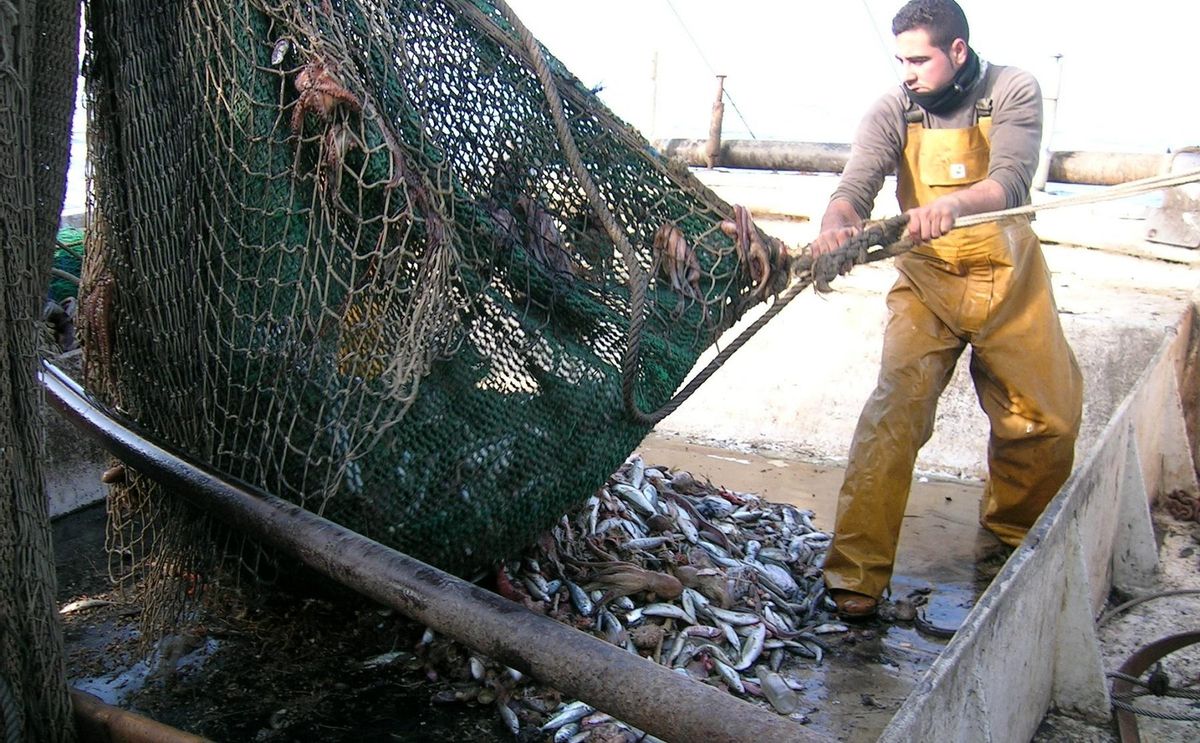 pêche au chalut