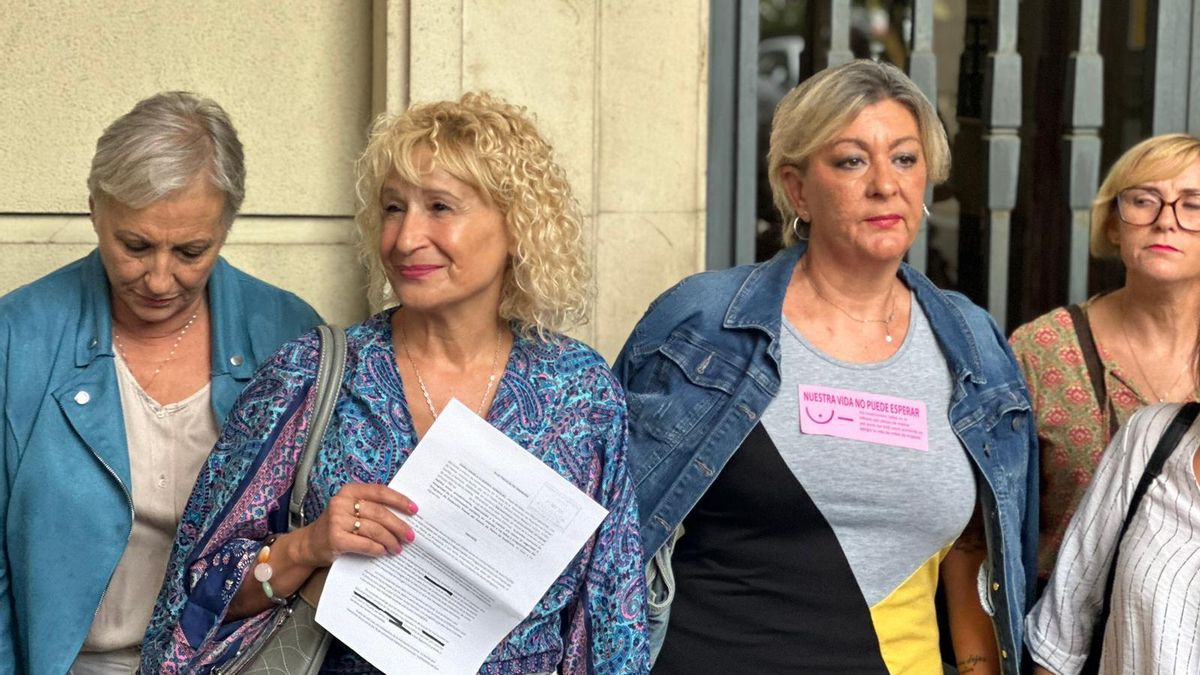 Miembros de la Asociación Amama denuncian ante Fiscalía el "borrado y la manipulación de pruebas diagnósticas".