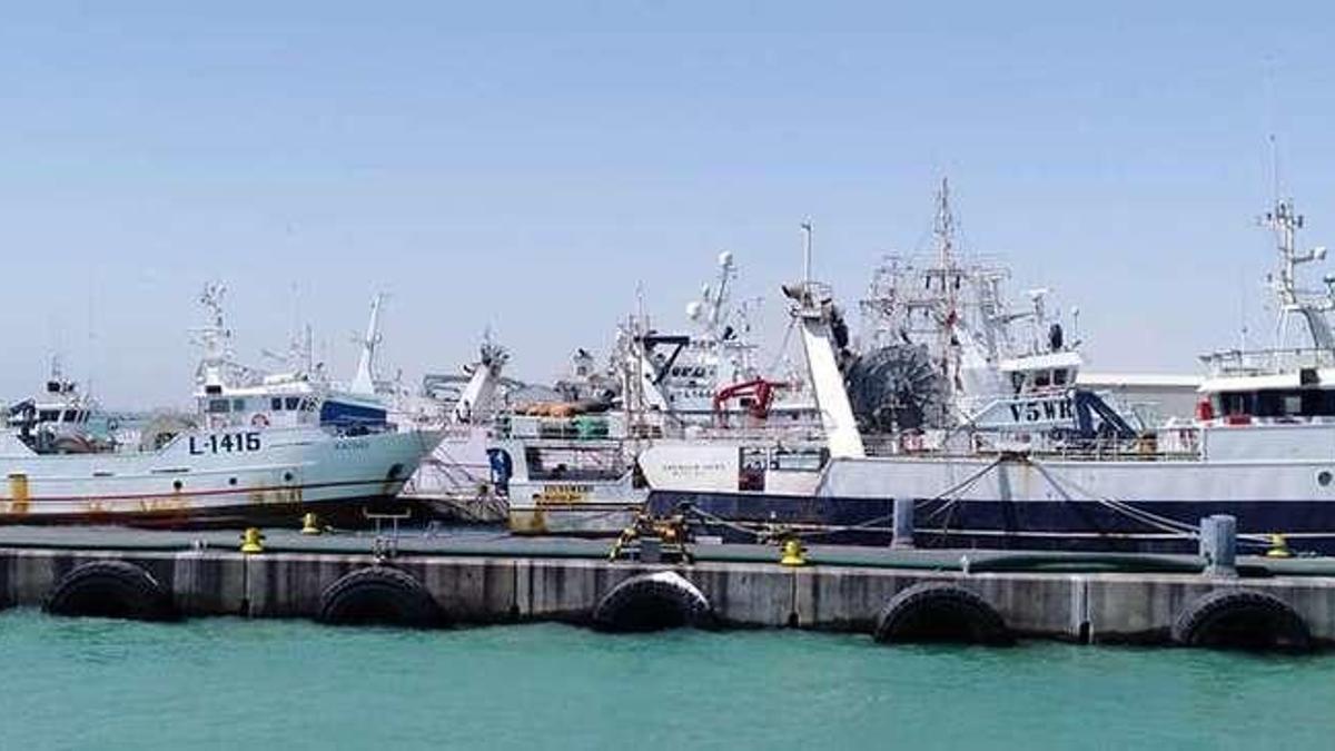 Buques fresqueros, amarrados la pasada semana en un muelle de Walvis Bay. // Luis Antonio Fernández Seijas