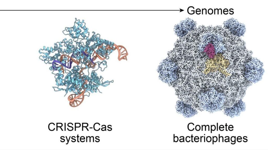 La IA podría transformarse en una "máquina genética" orientada en crear asesinos de patógenos "a la carta".