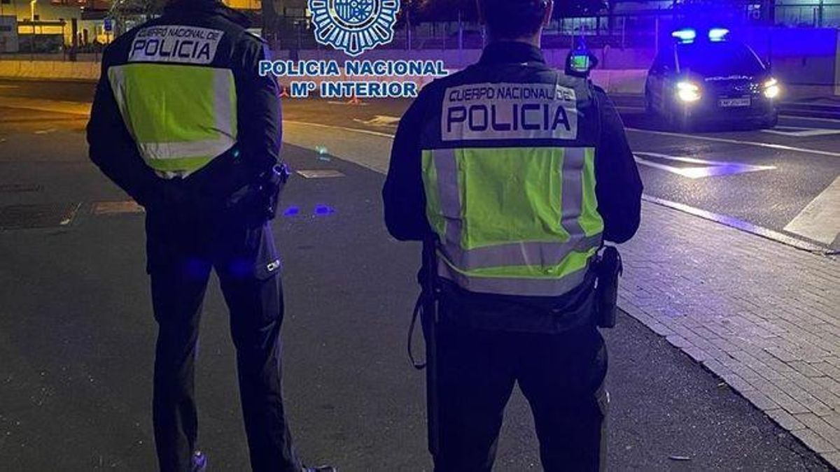 Agentes de la Policia Nacional. / POLICÍA NACIONAL