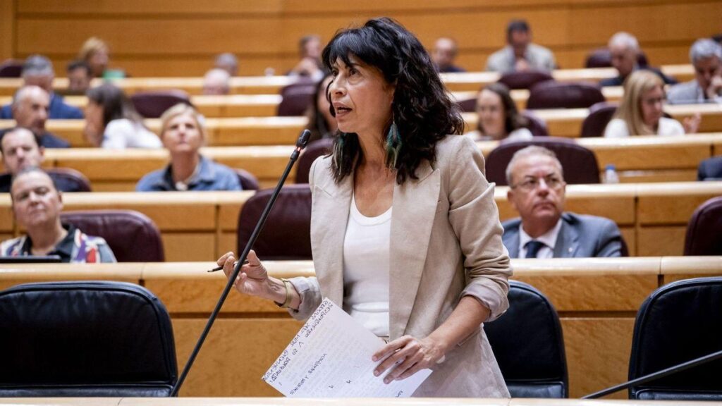 Ana Redondo, ministra d’Igualtat, durant una sessió de control al Govern al Senat a principis de mes.